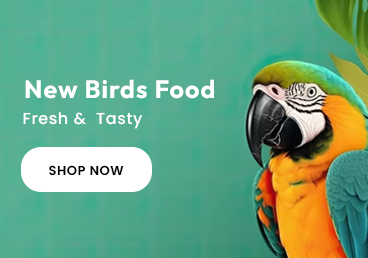New Birds food